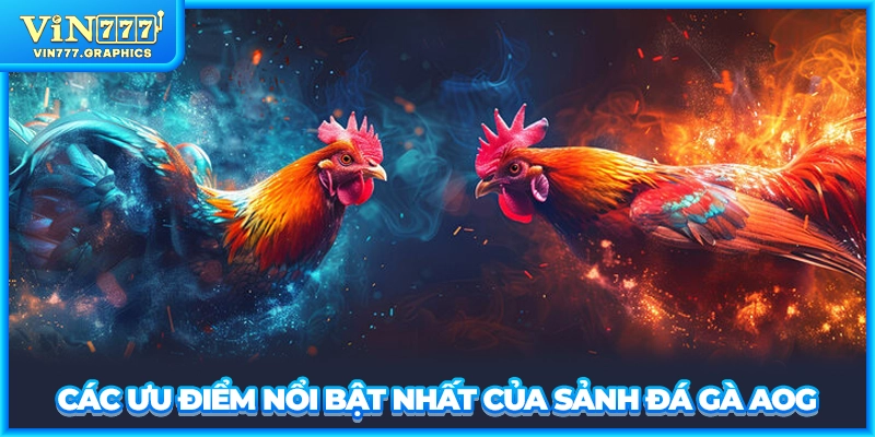 Các ưu điểm nổi bật nhất của sảnh đá gà AOG